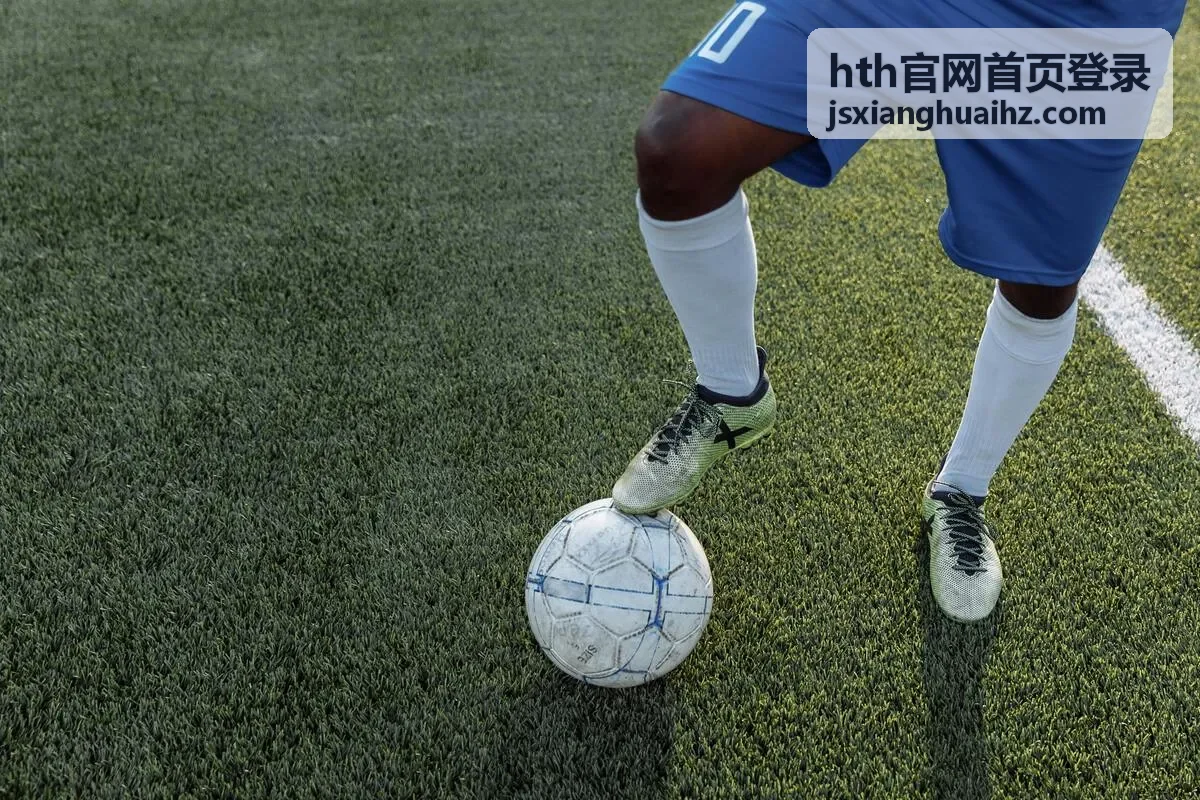 hth官网首页登录账号登录入口示意图
