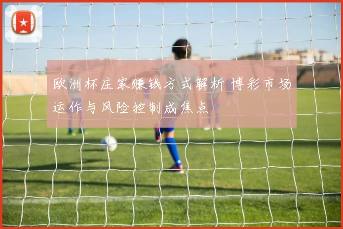 欧洲杯庄家赚钱方式解析 博彩市场运作与风险控制成焦点