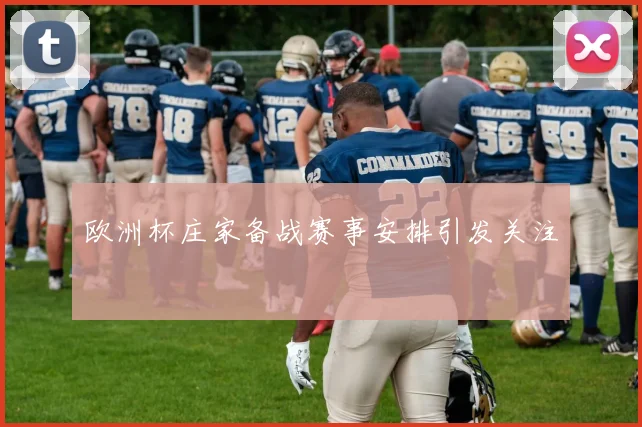 欧洲杯庄家备战赛事安排引发关注