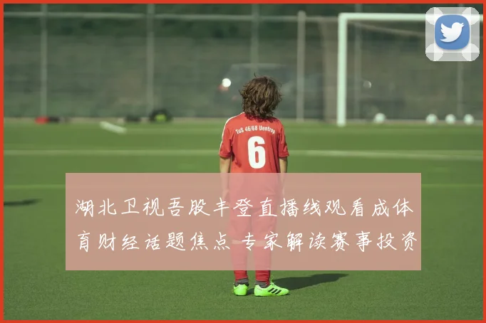 湖北卫视吾股丰登直播线观看成体育财经话题焦点 专家解读赛事投资新看点