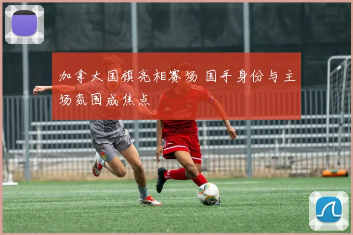 加拿大国旗亮相赛场 国手身份与主场氛围成焦点
